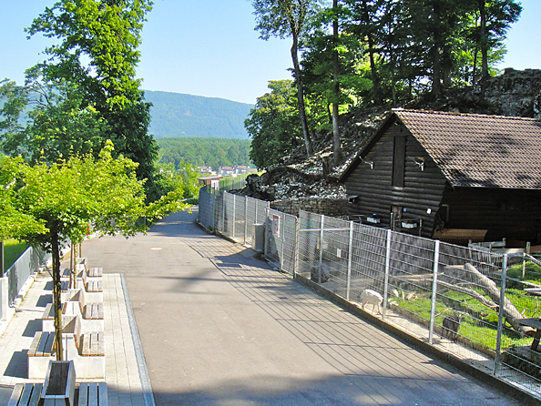 Willkommen im Wildpark Mühletäli Olten