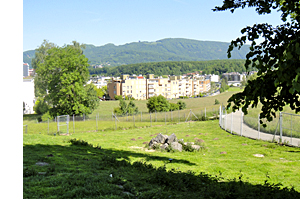 Aussicht vom Mufflon-Gehege