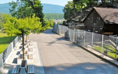 Aargau Solothurn – Wildpark Mühletäli braucht erneut Geld – News – SRF