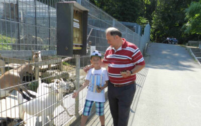Sommer mit den Tieren im «Mühletäli» – kühles Wasser gibts aus der eigenen Quelle – Niederamt – Solothurn – Solothurner Zeitung