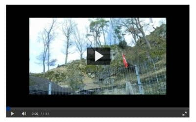 Tierpark Mühletäli in Starrkirch-Wil ist gerettet – die Gemeinde zahlt die Felssanierung